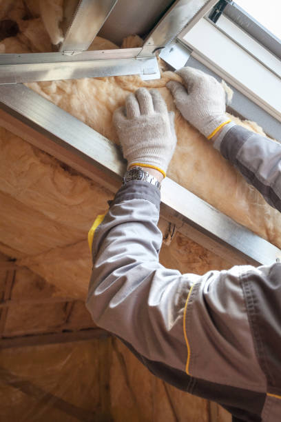 Best Commercial Insulation in Franklin, GA