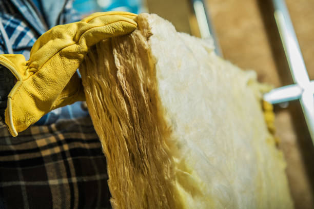 Best DIY Insulation Kits and Guidance in Franklin, GA