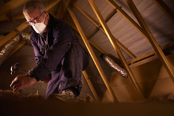 Best Geographic-Specific Insulation Services in Franklin, GA