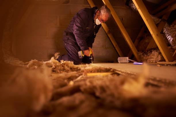 Best Cellulose Insulation in Franklin, GA
